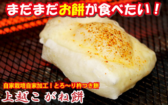 ¾å±Û¤³¤¬¤ÍÌß¡¡¹¥É¾ÈÎÇäÃæ