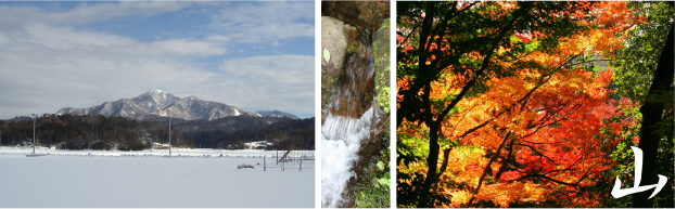 冬の米山と紅葉