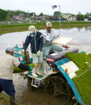 田植え