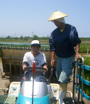 田植え体験