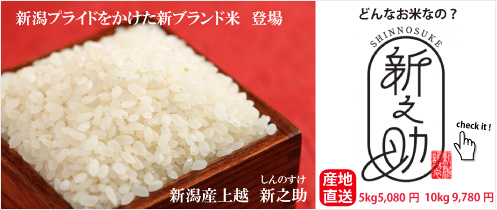 ¿·³ã¥×¥é¥¤¥É¡Ö¿·Ç·½õ¡×¹¥É¾È¯ÇäÃæ