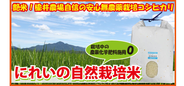 �ˤ줤�μ���������