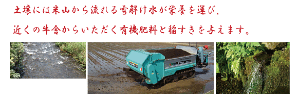 ÅÚ¾í¤Ë¤Ïµí¤¿¤¤Èî¤È°ð¤¹¤