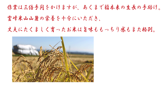 »Ý¤µ¤â¼Â¤ê¤Î´î¤Ó¤â³ÊÊÌ