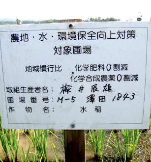�ˤ줤�μ���������