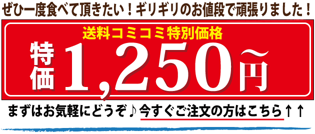 ¥¹¥¿¡¼¥È´ë²è¡ªÁ´Éʤ³¤ß¤³¤ß1000±ß¥Ý¥Ã¥¥ê¡ª