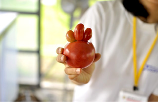 ²û¤«¤·¤¤ÅļˤÎÌ£