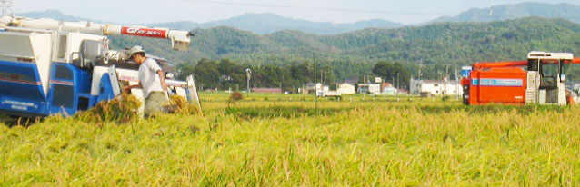 ¾å±Û¤³¤¬¤Í¤â¤Á¡¡°ð´¢¤ê