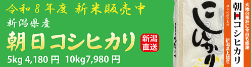農場の朝日コシヒカリ 新米発売開始