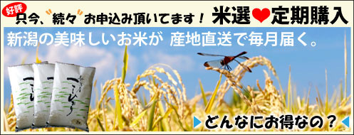 新潟お米 お得な定期購入