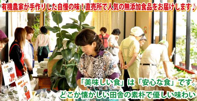 ľÇä½ê¤Ç¿Íµ¤¤Î̵ź²Ã¿©ÉÊ