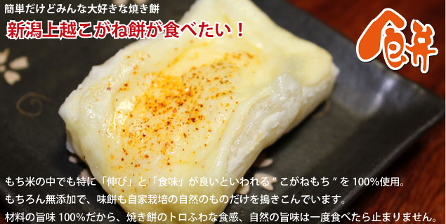 ¤ªÌߤÎÈþÌ£¤·¤¤µ¨Àá¤Ç¤¹