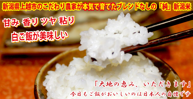 ¿·³ã¸©¾å±Û»Ô¤Î¤³¤À¤ï¤êÇÀ²È¤¬Ëܵ¤¤Ç°é¤Æ¤¿½ã¿·³ãÊÆ