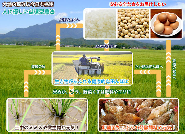 ÂçÃϤηäߤ˺£Æü¤â´¶¼Õ