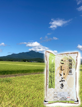 ¿·³ã»º¾å±Û¤³¤·¤¤¤Ö¤¿·ÊÆ