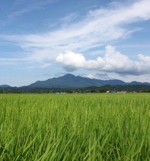 ¿·³ã¸©»º¾å±Û¤³¤·¤¤¤Ö¤