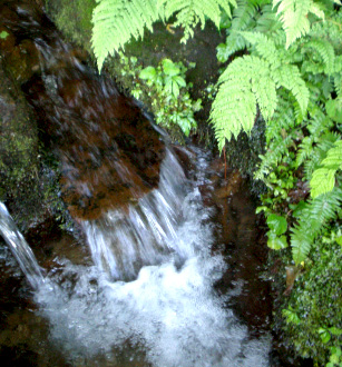 ¿·³ã»º¾å±Û¥³¥·¥Ò¥«¥ê