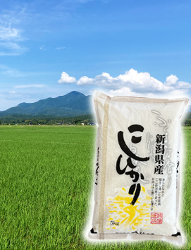 ¿·³ã»º¾å±Û¥³¥·¥Ò¥«¥ê