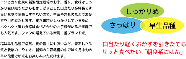 ¤·¤Ã¤«¤ê¤á¡¢¤µ¤Ã¤Ñ¤ê¡¢¤ª¼êº¢²Á³Ê