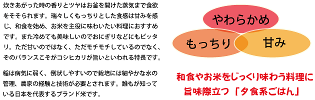 ¤ä¤ï¤é¤«¤á¡¢¤â¤Ã¤Á¤ê¡¢´Å¤ß