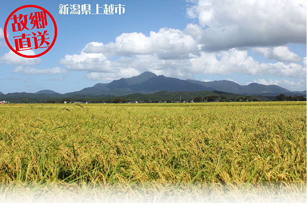 ÆüËܰì¤ÎÊÆ½è¡¡¿·³ãľÁ÷