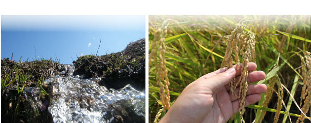 ÆüËܰì¤ÎÊÆ½è¡¡¿·³ãľÁ÷